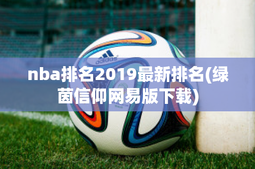 nba排名2019最新排名(绿茵信仰网易版下载)