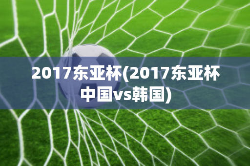 2017东亚杯(2017东亚杯中国vs韩国)