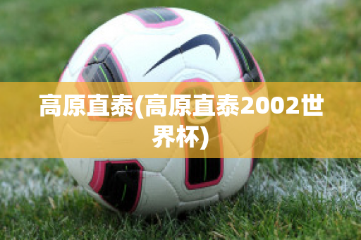 高原直泰(高原直泰2002世界杯)