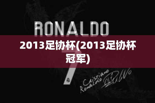 2013足协杯(2013足协杯冠军)