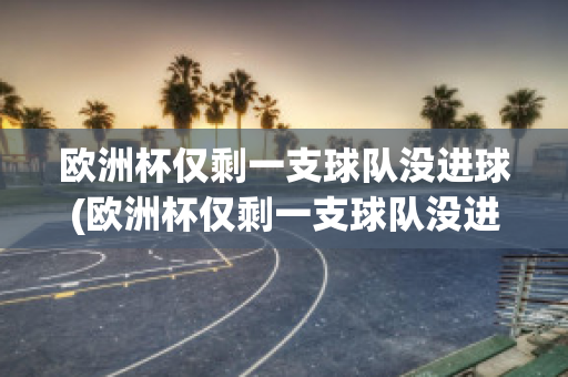 欧洲杯仅剩一支球队没进球(欧洲杯仅剩一支球队没进球的球员)