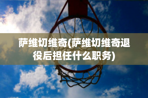 萨维切维奇(萨维切维奇退役后担任什么职务)