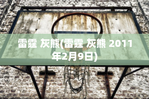 雷霆 灰熊(雷霆 灰熊 2011年2月9日)