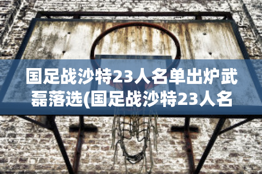 国足战沙特23人名单出炉武磊落选(国足战沙特23人名单出炉武磊落选时间)