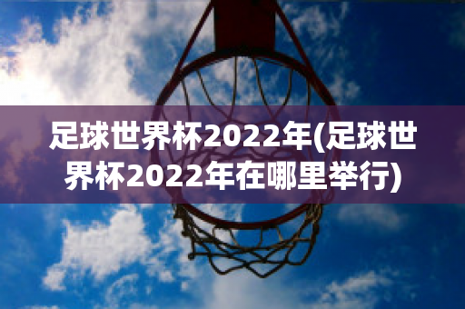 足球世界杯2022年(足球世界杯2022年在哪里举行)