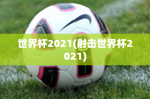 世界杯2021(射击世界杯2021)