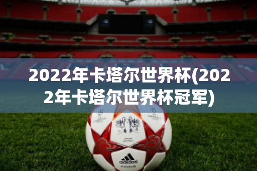 2022年卡塔尔世界杯(2022年卡塔尔世界杯冠军)