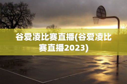 谷爱凌比赛直播(谷爱凌比赛直播2023)