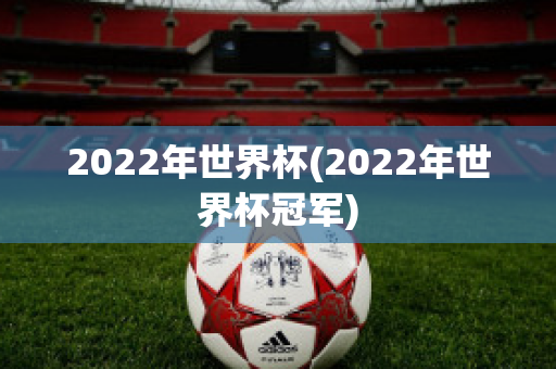 2022年世界杯(2022年世界杯冠军)