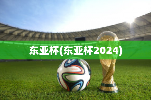 东亚杯(东亚杯2024)