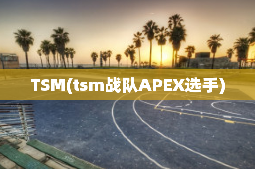 TSM(tsm战队APEX选手)