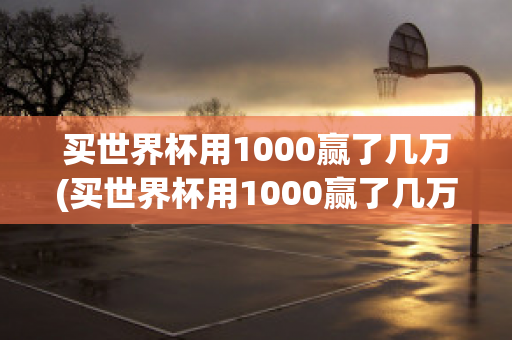 买世界杯用1000赢了几万(买世界杯用1000赢了几万是真的吗)