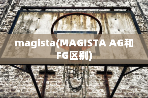 magista(MAGISTA AG和FG区别)