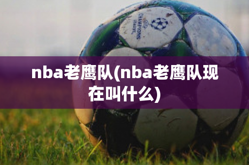 nba老鹰队(nba老鹰队现在叫什么)