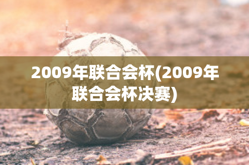 2009年联合会杯(2009年联合会杯决赛)