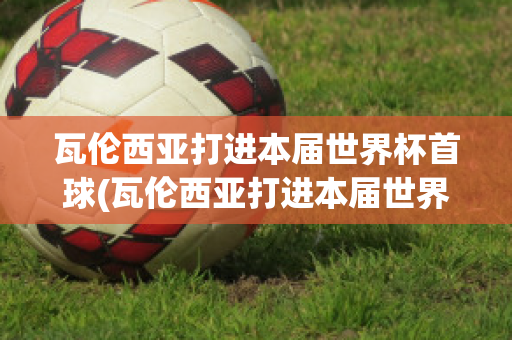 瓦伦西亚打进本届世界杯首球(瓦伦西亚打进本届世界杯首球是哪一年)