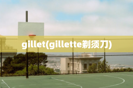 gillet(gillette剃须刀)