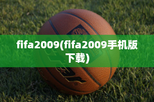 fifa2009(fifa2009手机版下载)