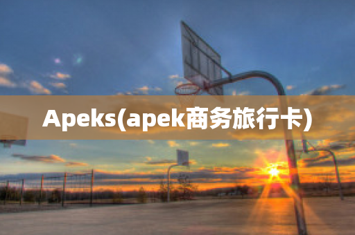 Apeks(apek商务旅行卡)