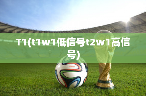 T1(t1w1低信号t2w1高信号)