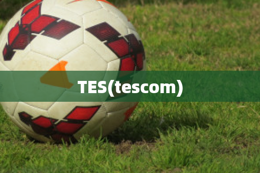 TES(tescom)