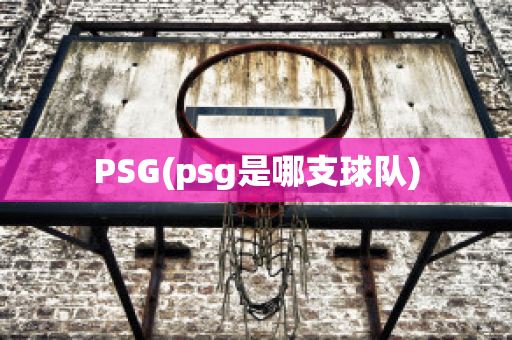 PSG(psg是哪支球队)