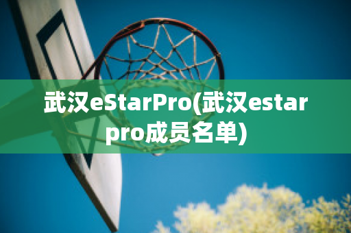 武汉eStarPro(武汉estarpro成员名单)