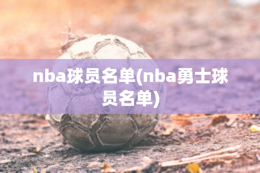 nba球员名单(nba勇士球员名单)