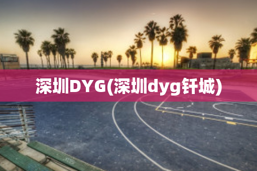 深圳DYG(深圳dyg钎城)