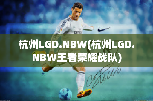 杭州LGD.NBW(杭州LGD.NBW王者荣耀战队)