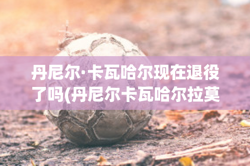 丹尼尔·卡瓦哈尔现在退役了吗(丹尼尔卡瓦哈尔拉莫斯)