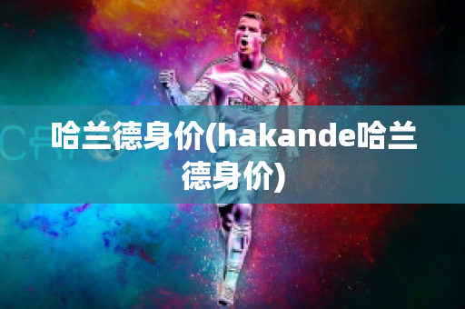 哈兰德身价(hakande哈兰德身价)