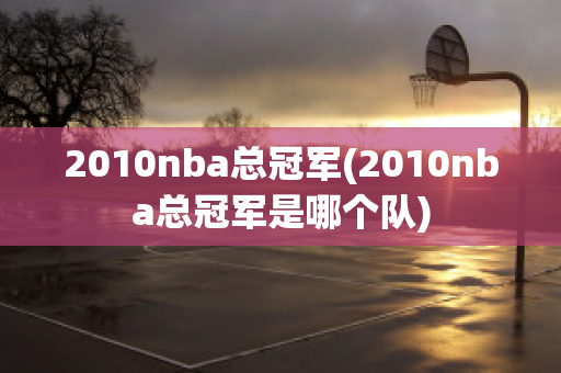 2010nba总冠军(2010nba总冠军是哪个队)