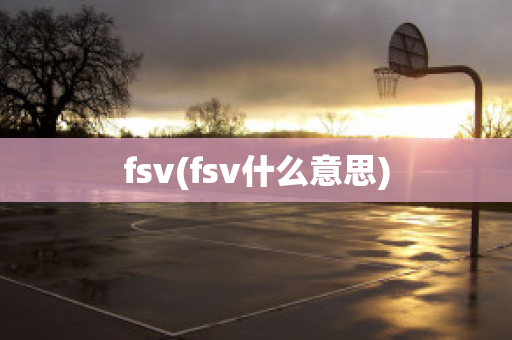 fsv(fsv什么意思)