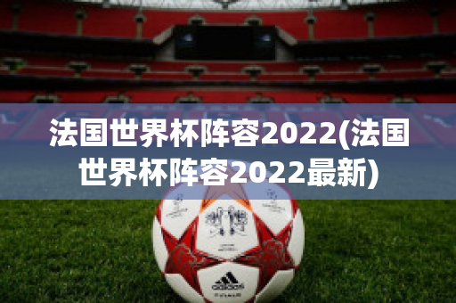 法国世界杯阵容2022(法国世界杯阵容2022最新)