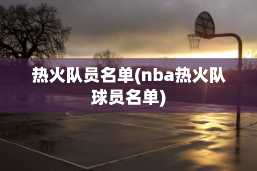 热火队员名单(nba热火队球员名单)