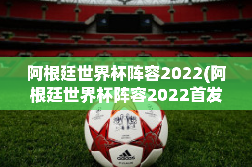 阿根廷世界杯阵容2022(阿根廷世界杯阵容2022首发球员)