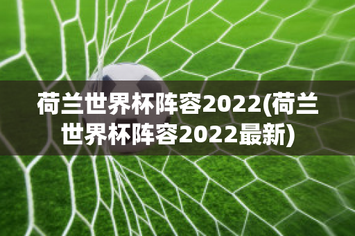 荷兰世界杯阵容2022(荷兰世界杯阵容2022最新)