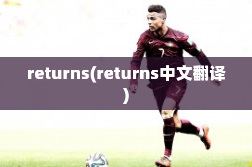 returns(returns中文翻译)