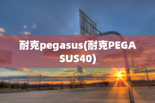 耐克pegasus(耐克PEGASUS40)