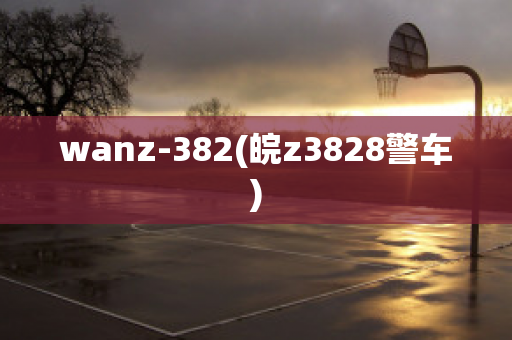 wanz-382(皖z3828警车)