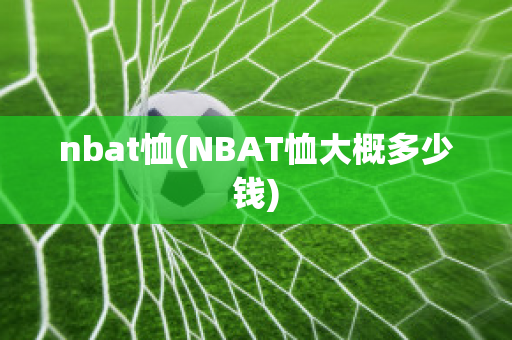 nbat恤(NBAT恤大概多少钱)