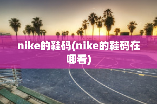 nike的鞋码(nike的鞋码在哪看)