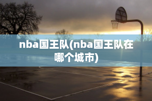 nba国王队(nba国王队在哪个城市)