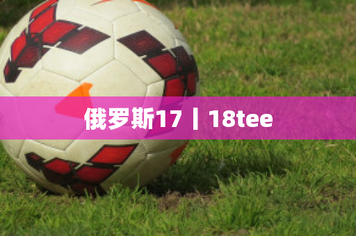 俄罗斯17丨18tee