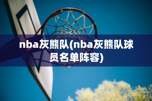 nba灰熊队(nba灰熊队球员名单阵容)