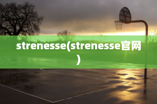 strenesse(strenesse官网)