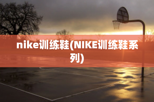 nike训练鞋(NIKE训练鞋系列)