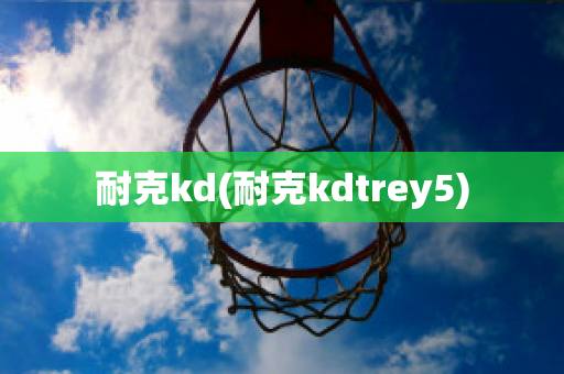 耐克kd(耐克kdtrey5)