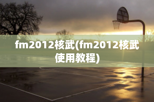 fm2012核武(fm2012核武使用教程)